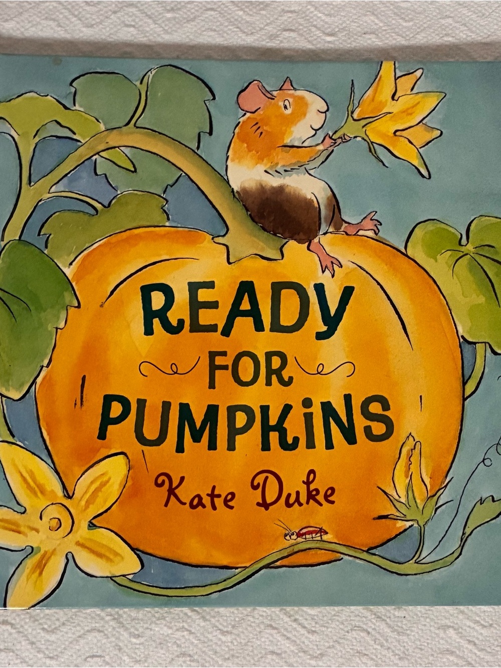 Ready For Pumpkins Children’s Hardback Book